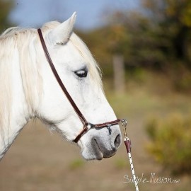 Caveçon camargue inox gainé cuir