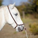 Caveçon camargue inox gainé cuir