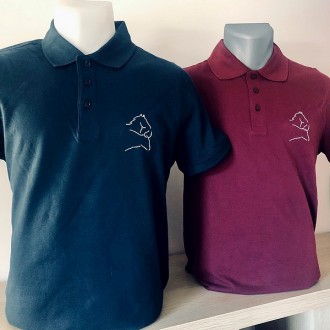 LOT de 2 Polos brod&eacute;s maille piqu&eacute;e Homme