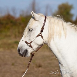 Licol corde et cuir et longe assortie Licol corde et cuir et longe assortie